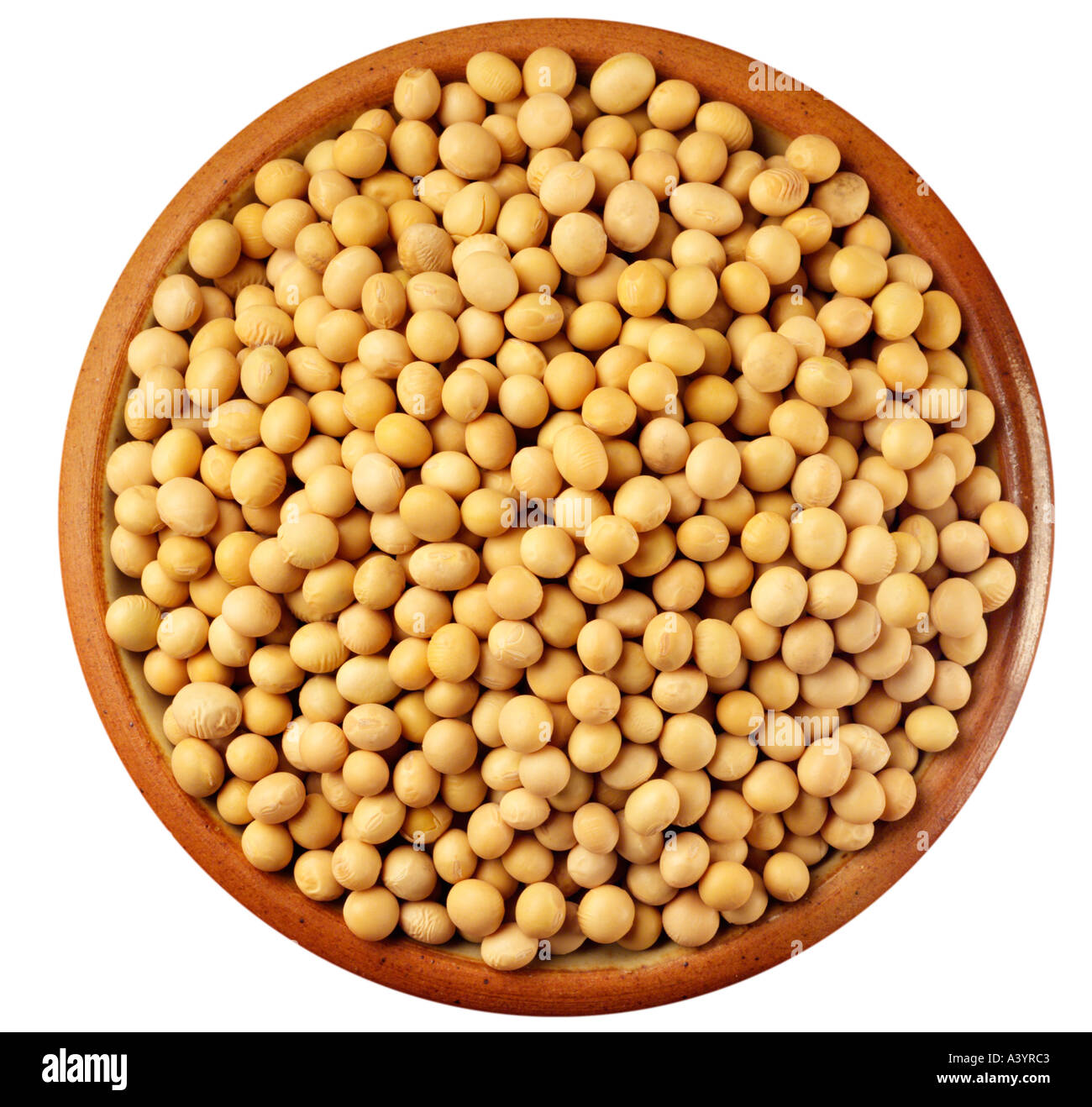 SOYA BEANS ON WHITE Stock Photo Alamy