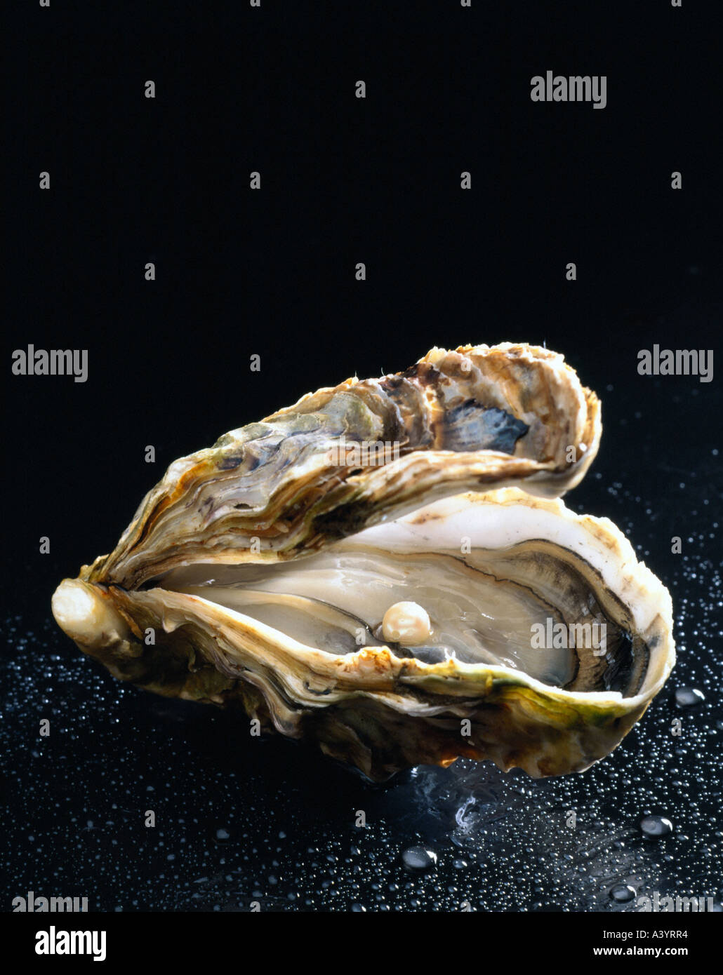 pearl in oyster Stock Photo