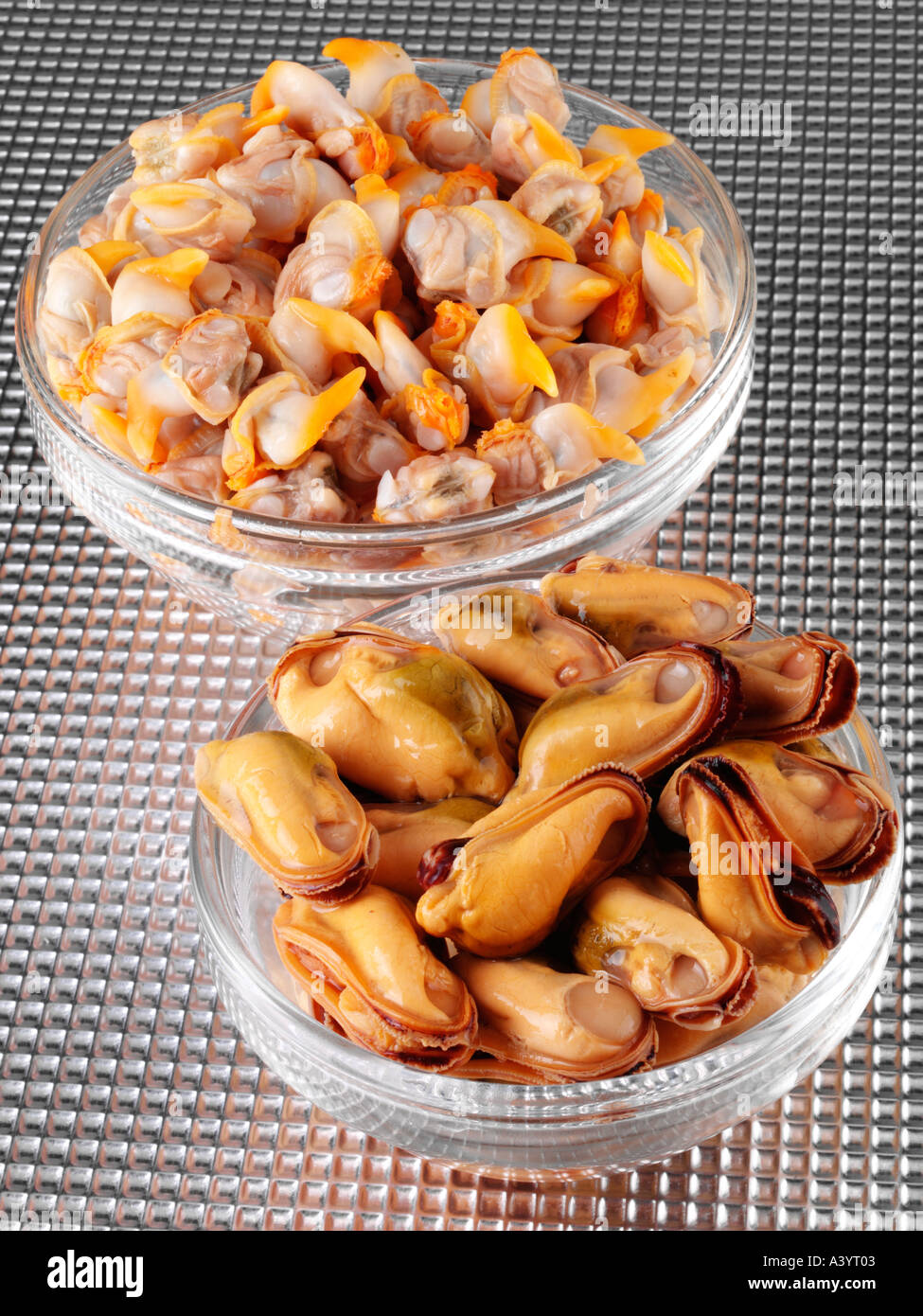 WELSH MUSSELS AND COCKLES Stock Photo Alamy