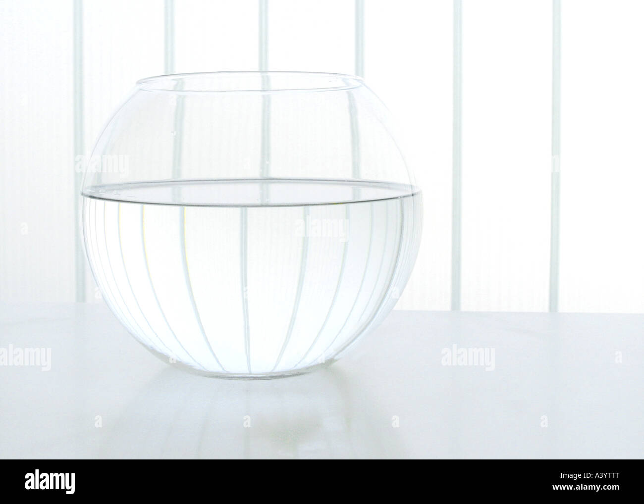 A closer look at Goldfish Tanks Without Exterior Frame
