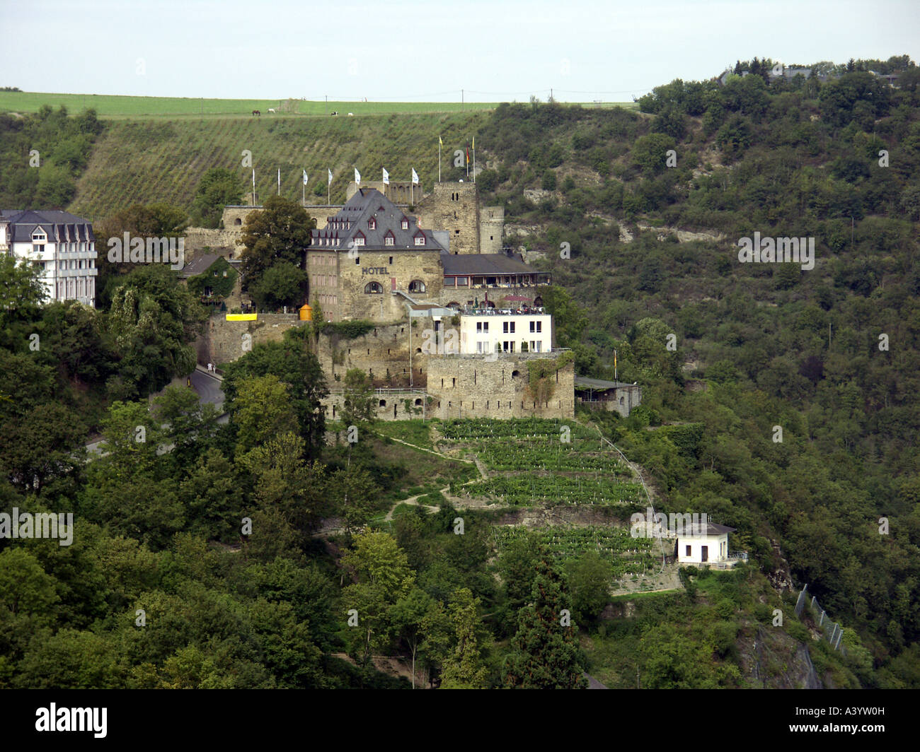 Burg Rheinfels, castle ruin, UNESCO World Heritage Site Upper Middle ...