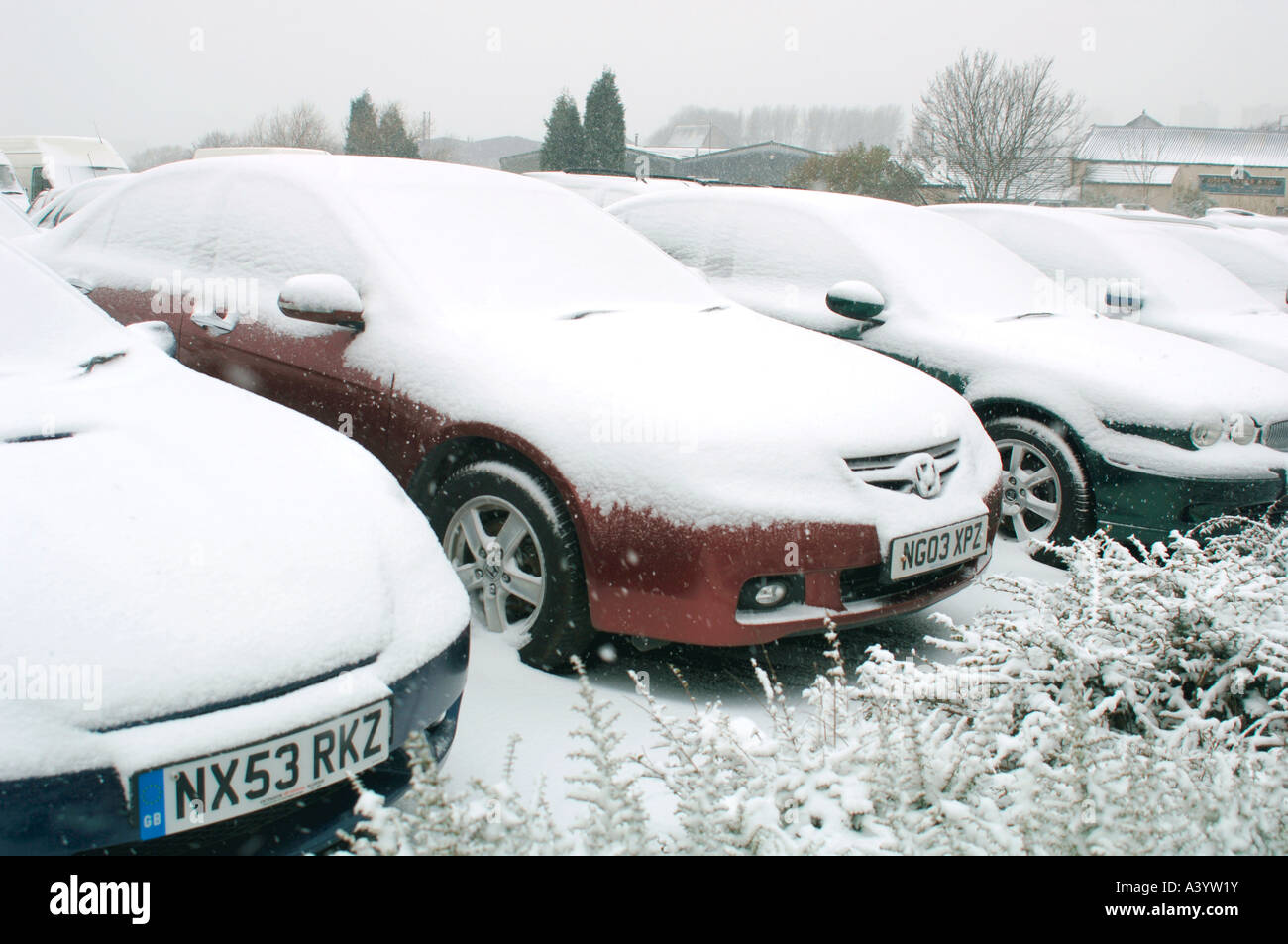 Rows Of Parked Cars Covered With Snow Stock Photo - Alamy