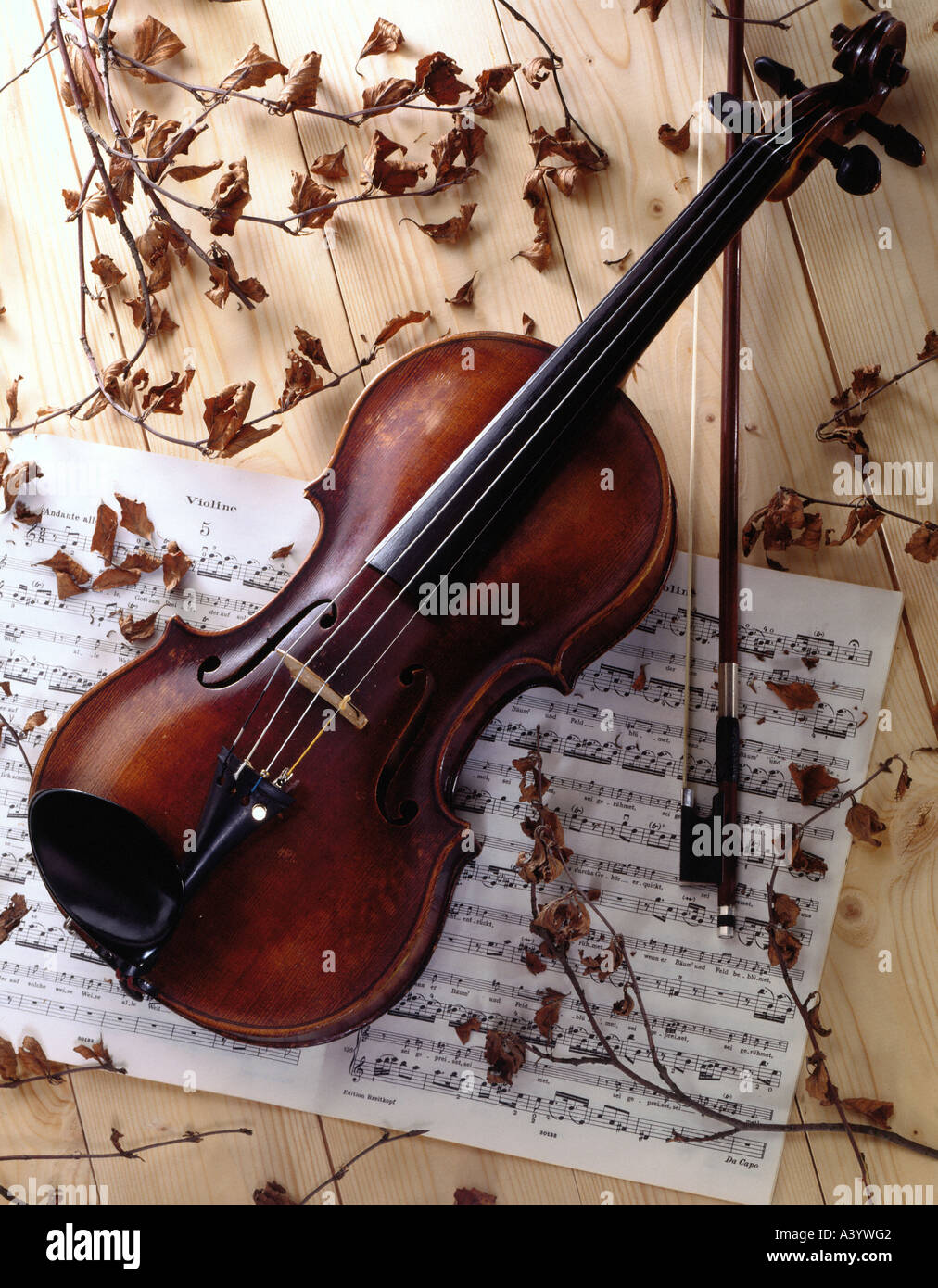 music instrument violin Stock Photo
