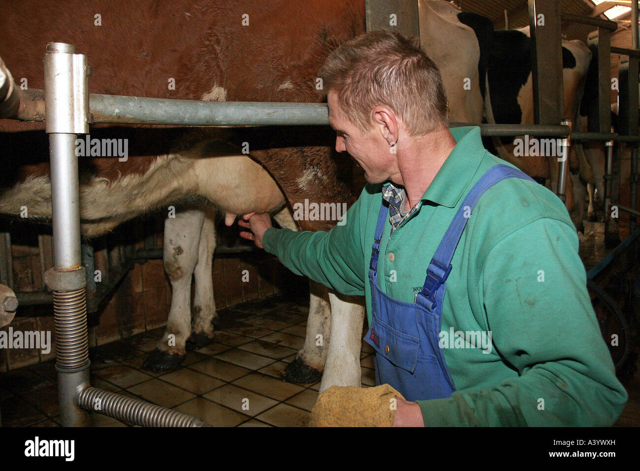 suche arbeit bei rossmann