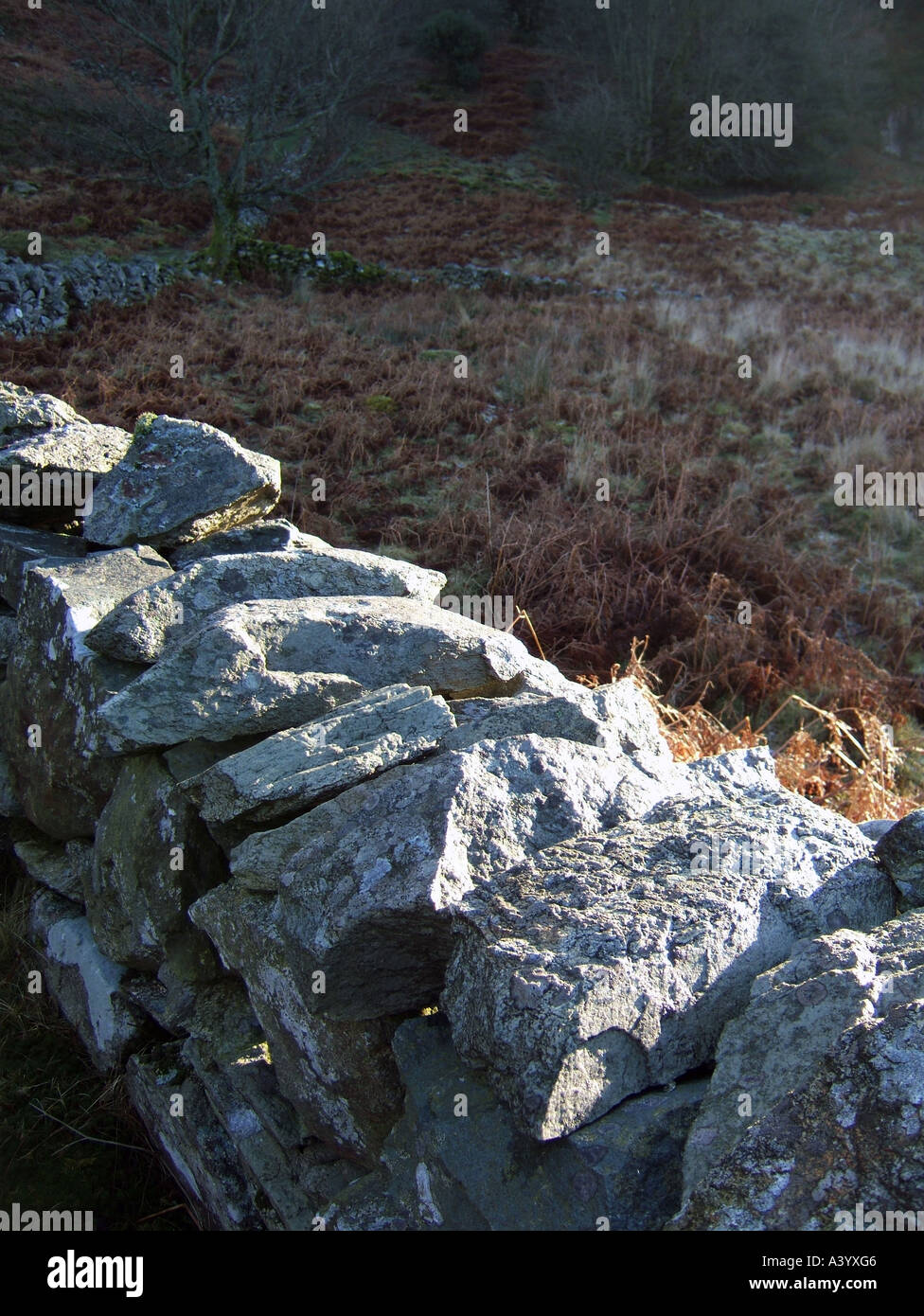 dry stone wall in snowdonia, wales Stock Photo
