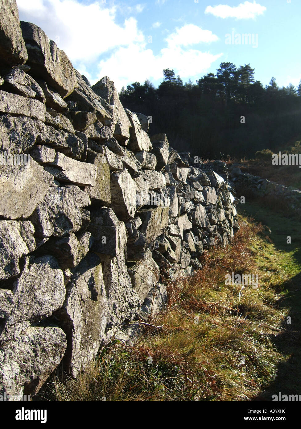 dry stone wall in snowdonia, wales Stock Photo