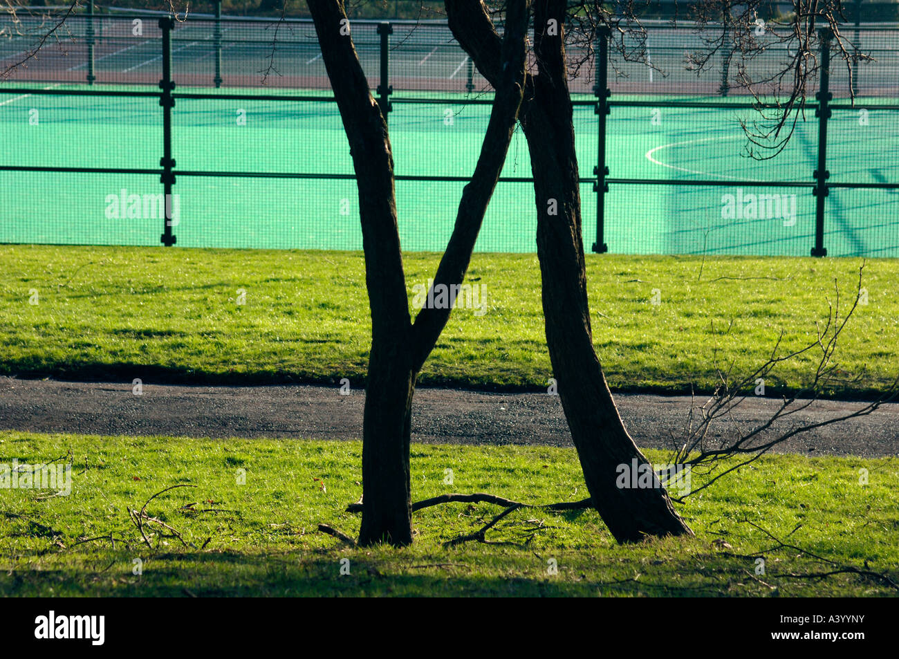 Natural & Artificial Surfaces Inside Hanley