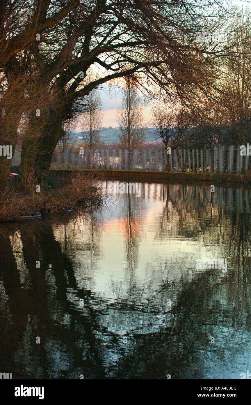 Symmetrical Reflections Of Trees,Mirrored In The Waters Of The Cauldon Canal,In Staffordshire,UK. Stock Photo