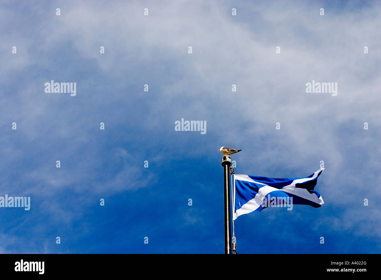 St andrews flag hi-res stock photography and images - Alamy