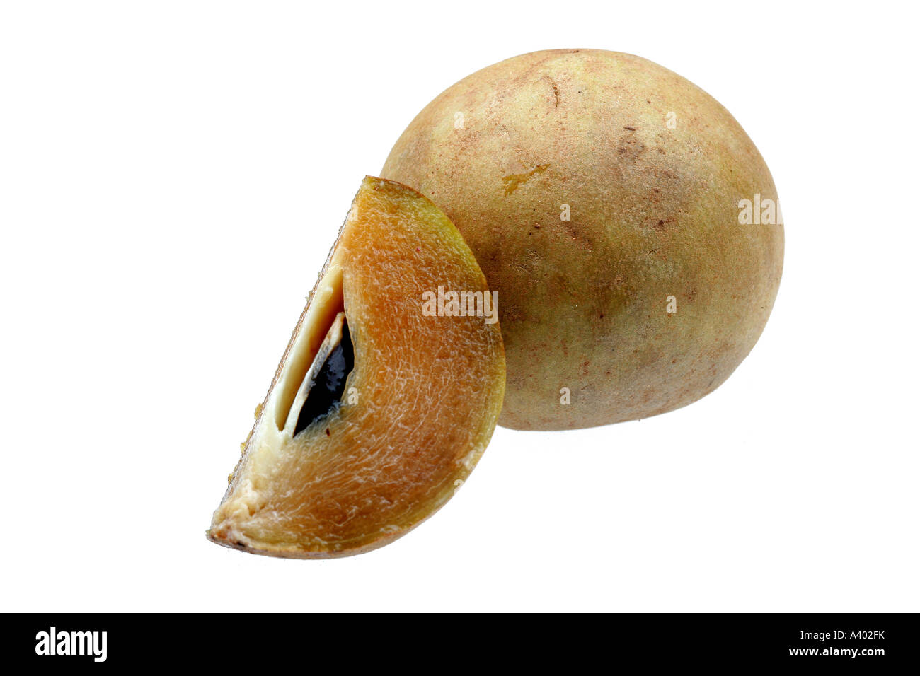 chikoo fruit nutrition chikoo fruit nutrition