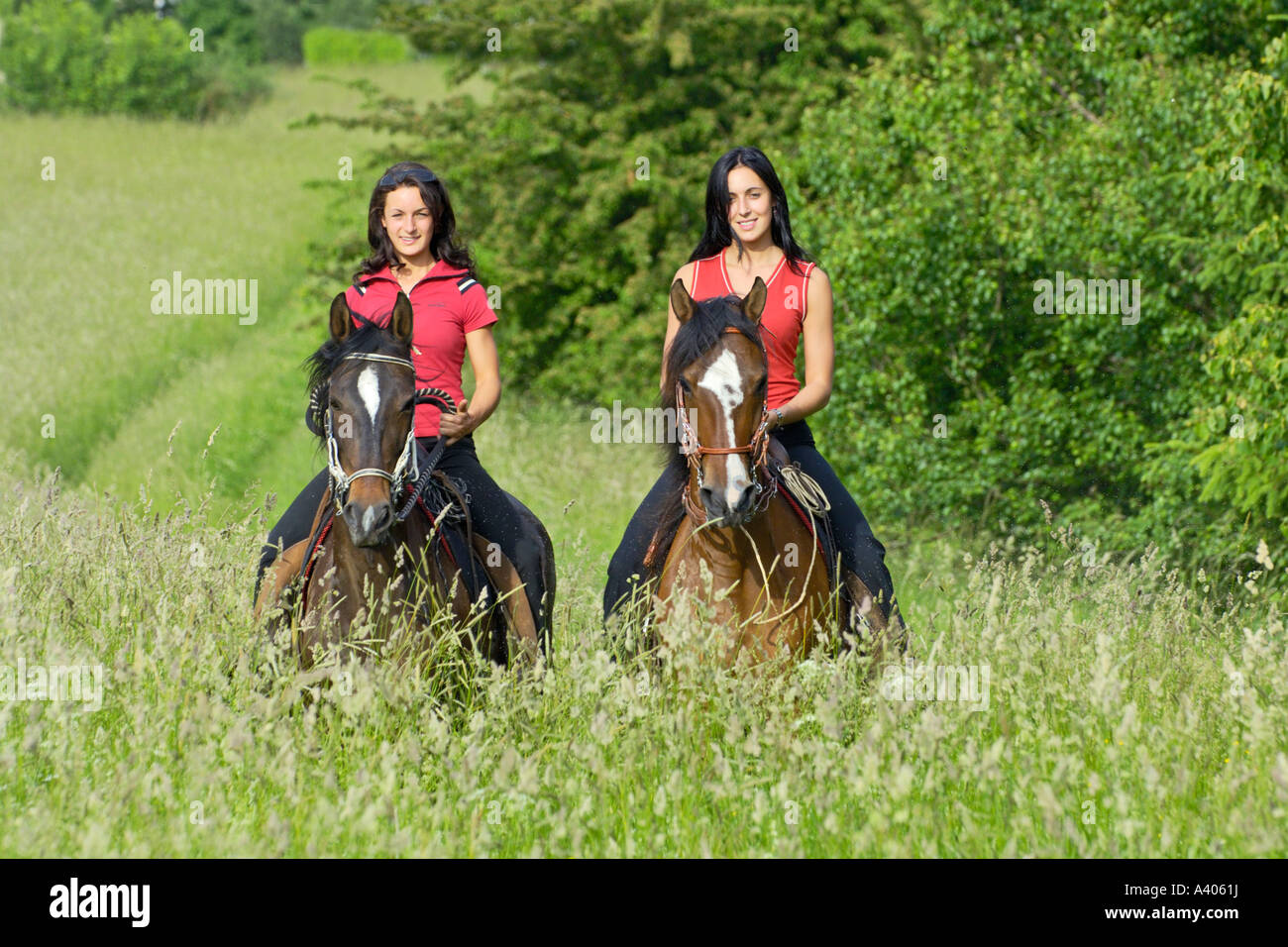 Two young ladies riding on Paso Fino Horses Stock Photo Alamy