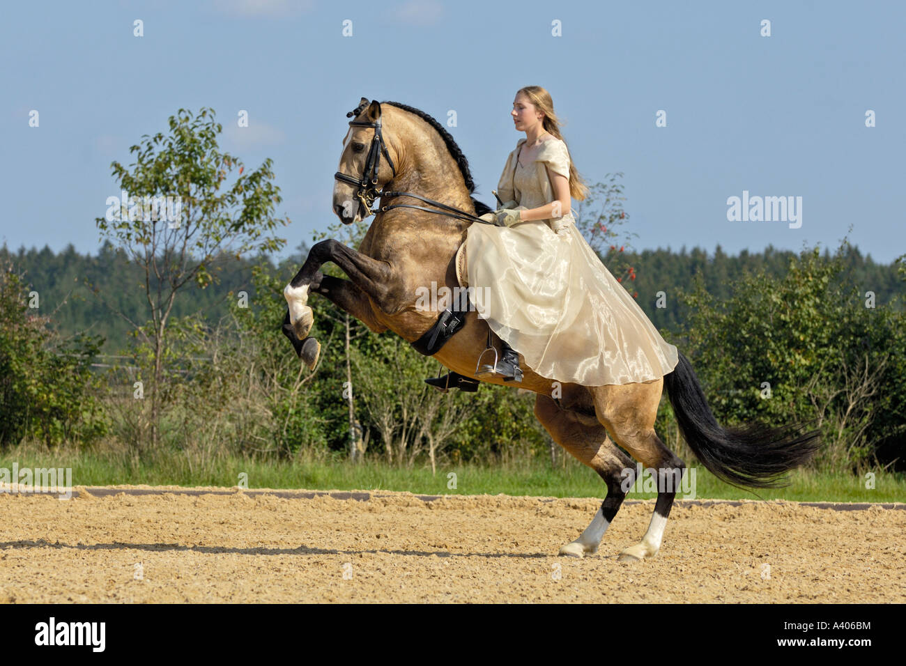 Rearing Horse High Resolution Stock Photography and Images - Alamy