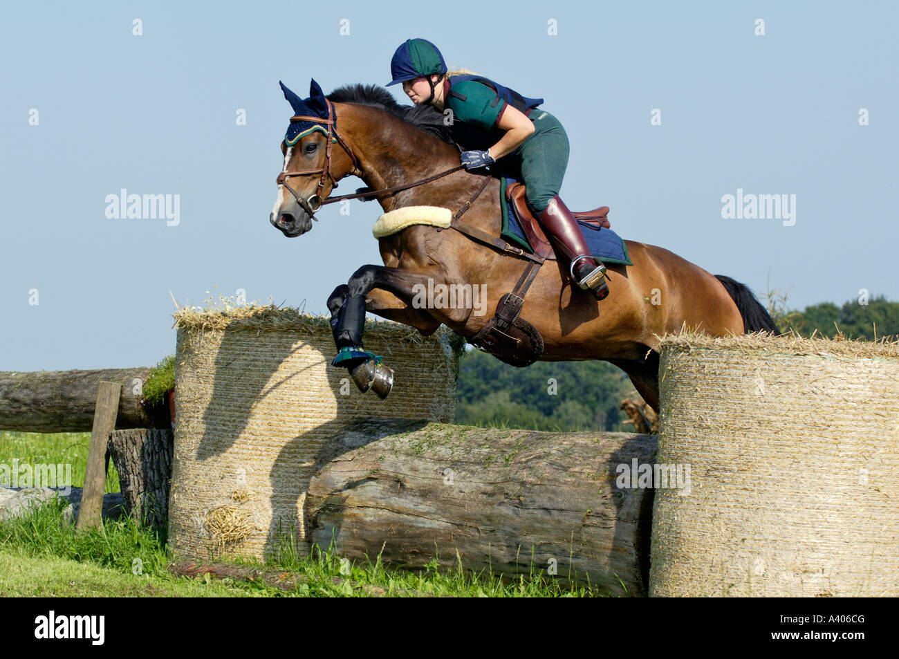 Young lady rider on back of a Bavarian horse jumping Stock Photo - Alamy