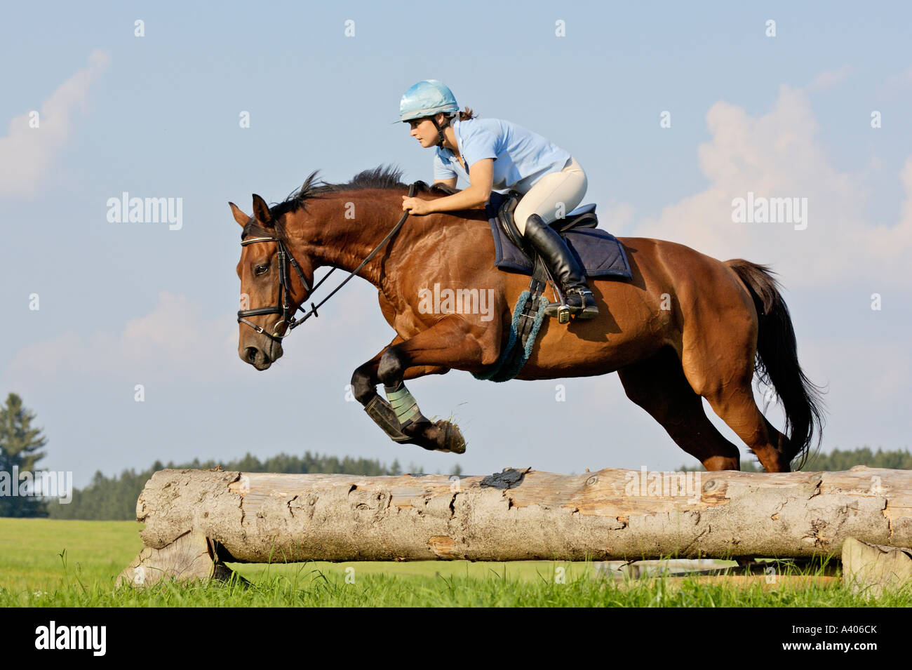Horse Jumping Over Fence High Resolution Stock Photography and Images