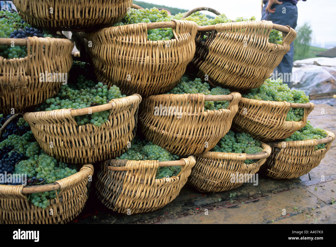 Burgundy burgundian baskets hires stock photography and images Alamy