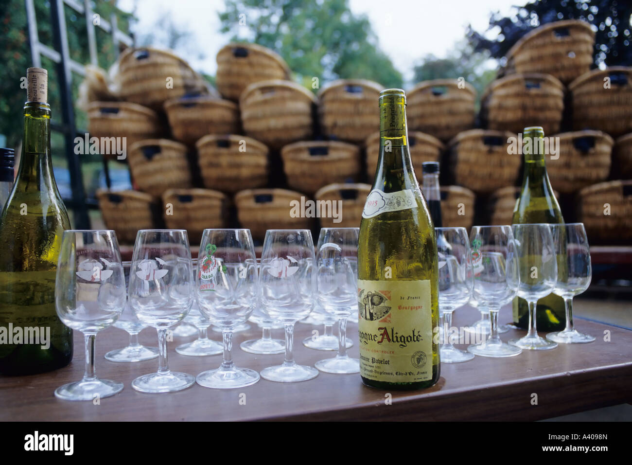 Empty glasses, Bourgogne Aligoté white wine bottles, stacked Benaton baskets in background, winery,Côte de Beaune, Côte d'Or, Burgundy, France, Europe Stock Photo