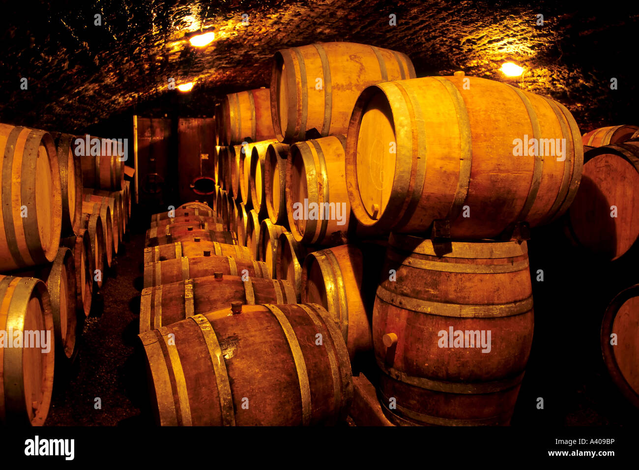 Cellar In Spanish Linguee at William May blog