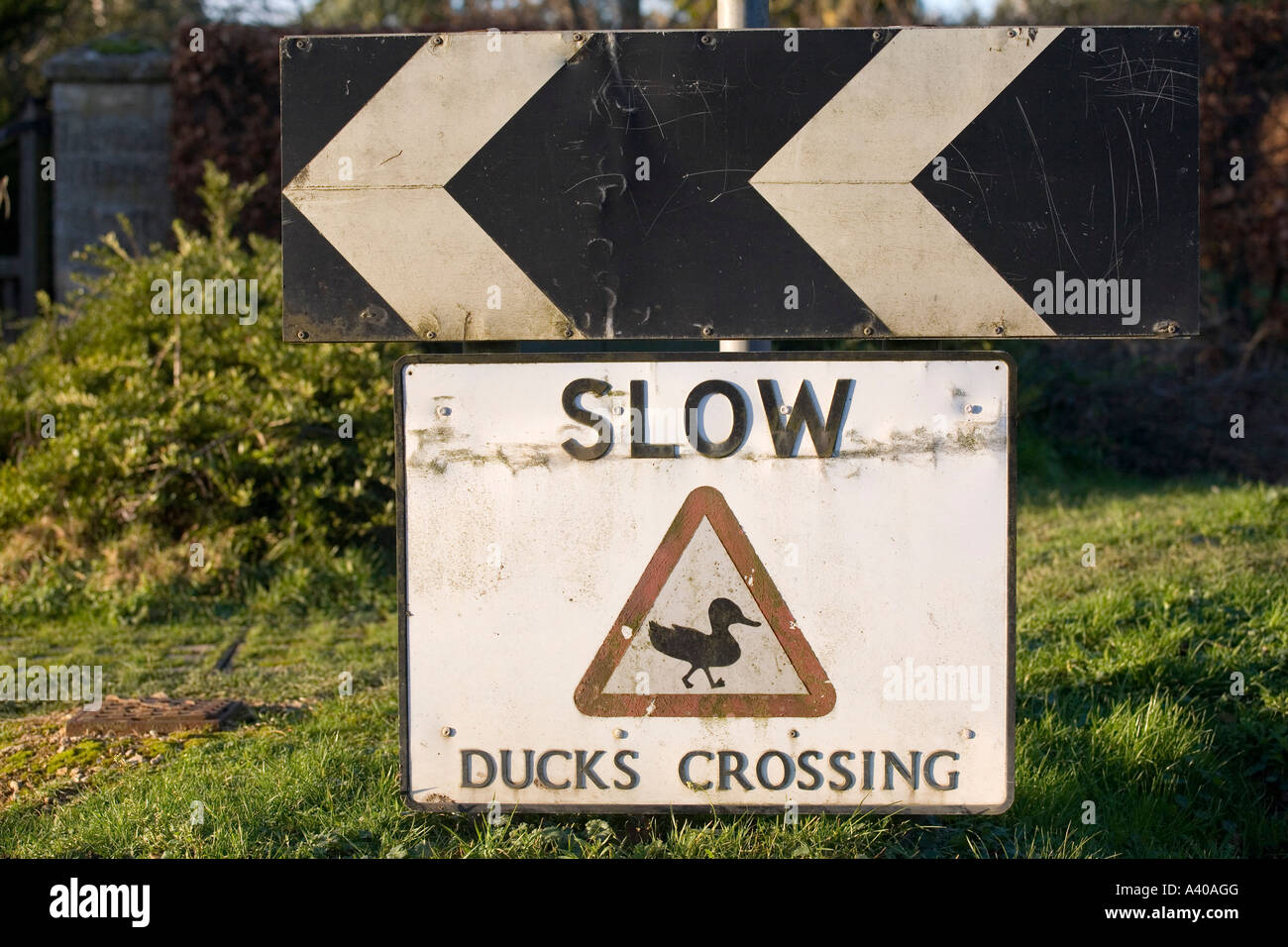 Ducks crossing sign on a village green, Bledington, Gloucestershire, UK Stock Photo