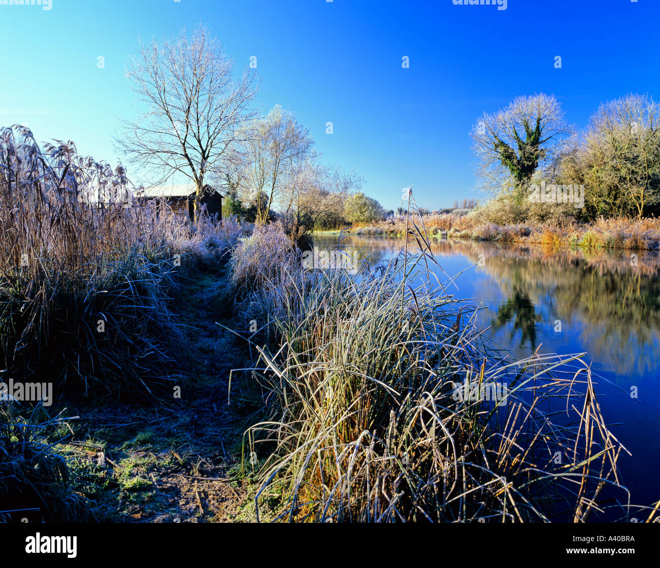 Hampshire river test winter hi-res stock photography and images - Alamy