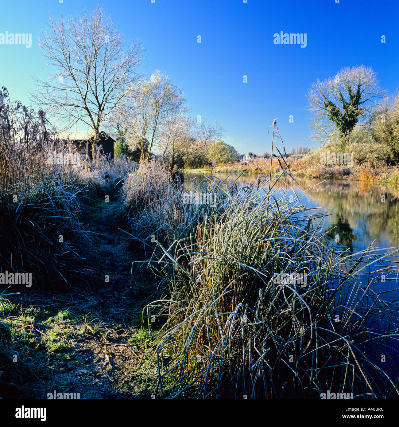 River Test near Wherwell Hampshire UK Stock Photo - Alamy