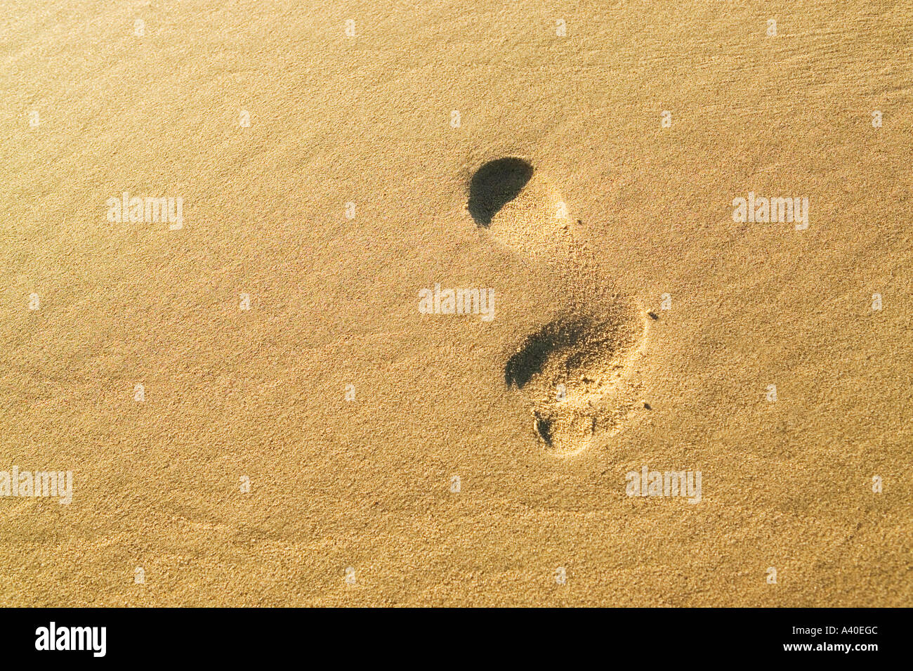 Footprint in sand Stock Photo Alamy