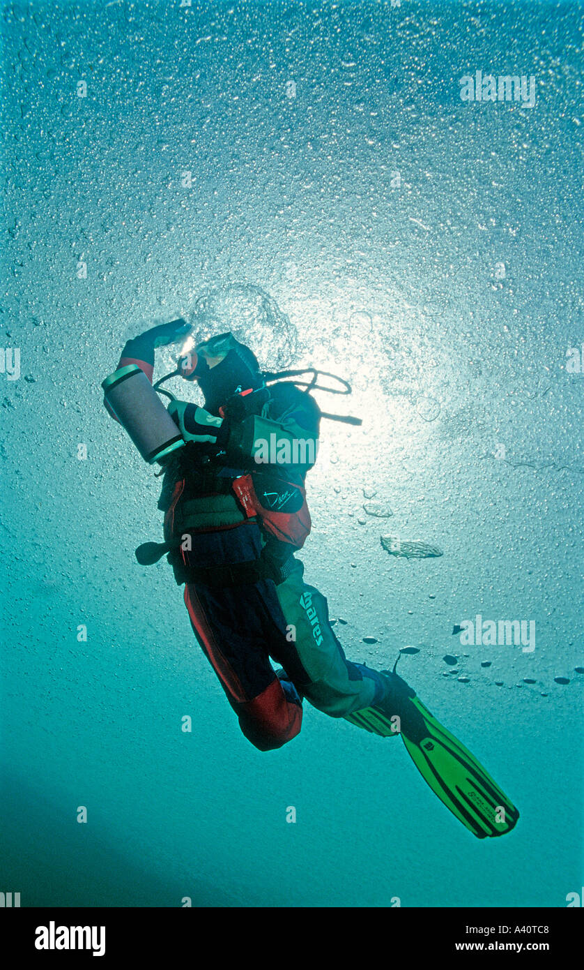 Eistauchen Taucher unter Eis Ice diving Scuba diver under ice  Stock Photo