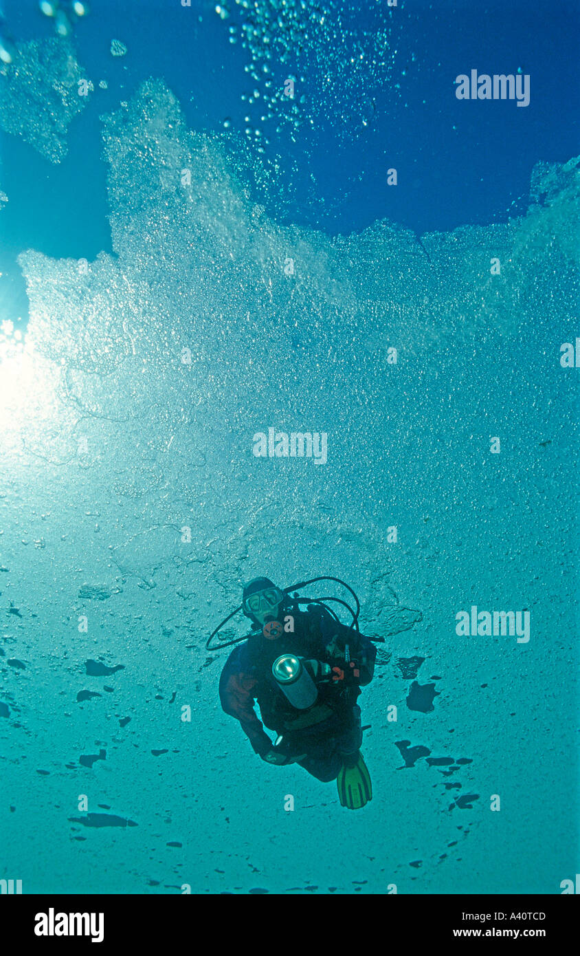 Eistauchen Taucher unter Eis Ice diving Scuba diver under ice  Stock Photo