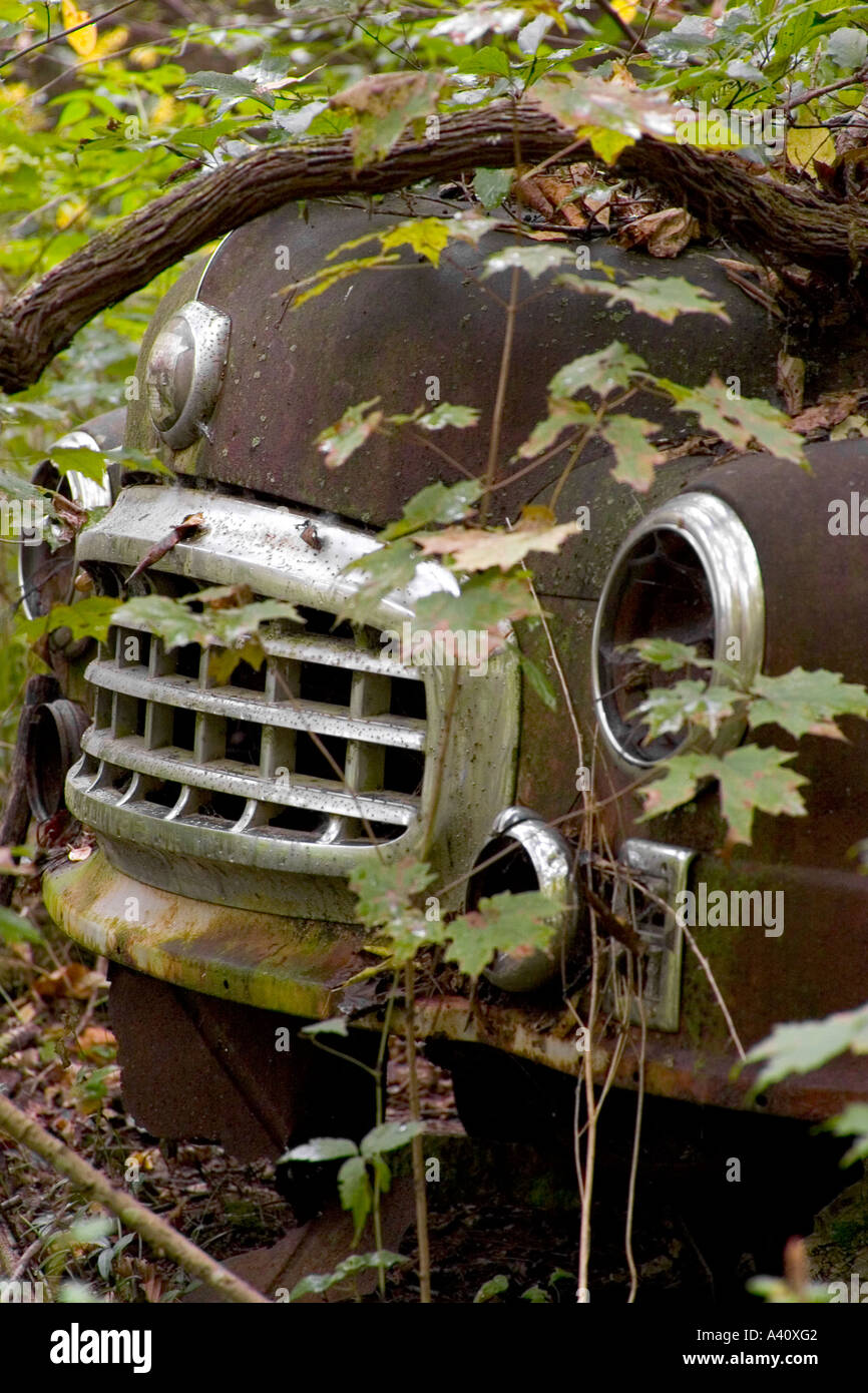 Old car in the weeds hi-res stock photography and images - Alamy