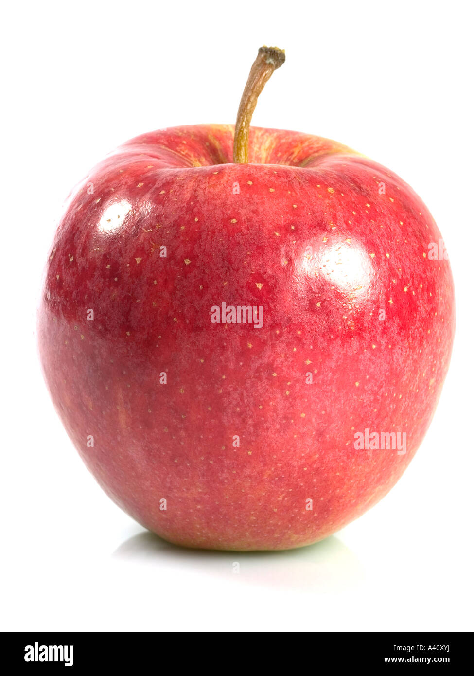 Red apple macro isolated on white Stock Photo