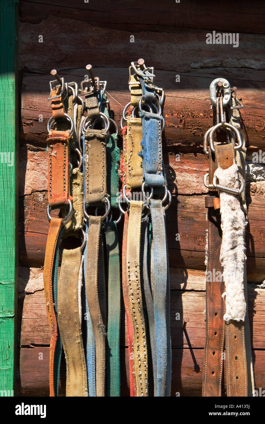Horse Tack High Resolution Stock Photography and Images - Alamy