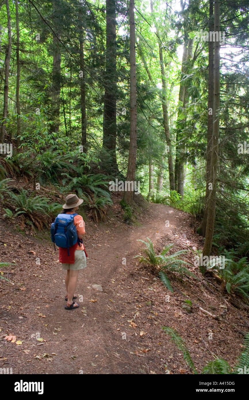 Walking on trail in Sehome Hill arboretum Bellingham USA Stock Photo