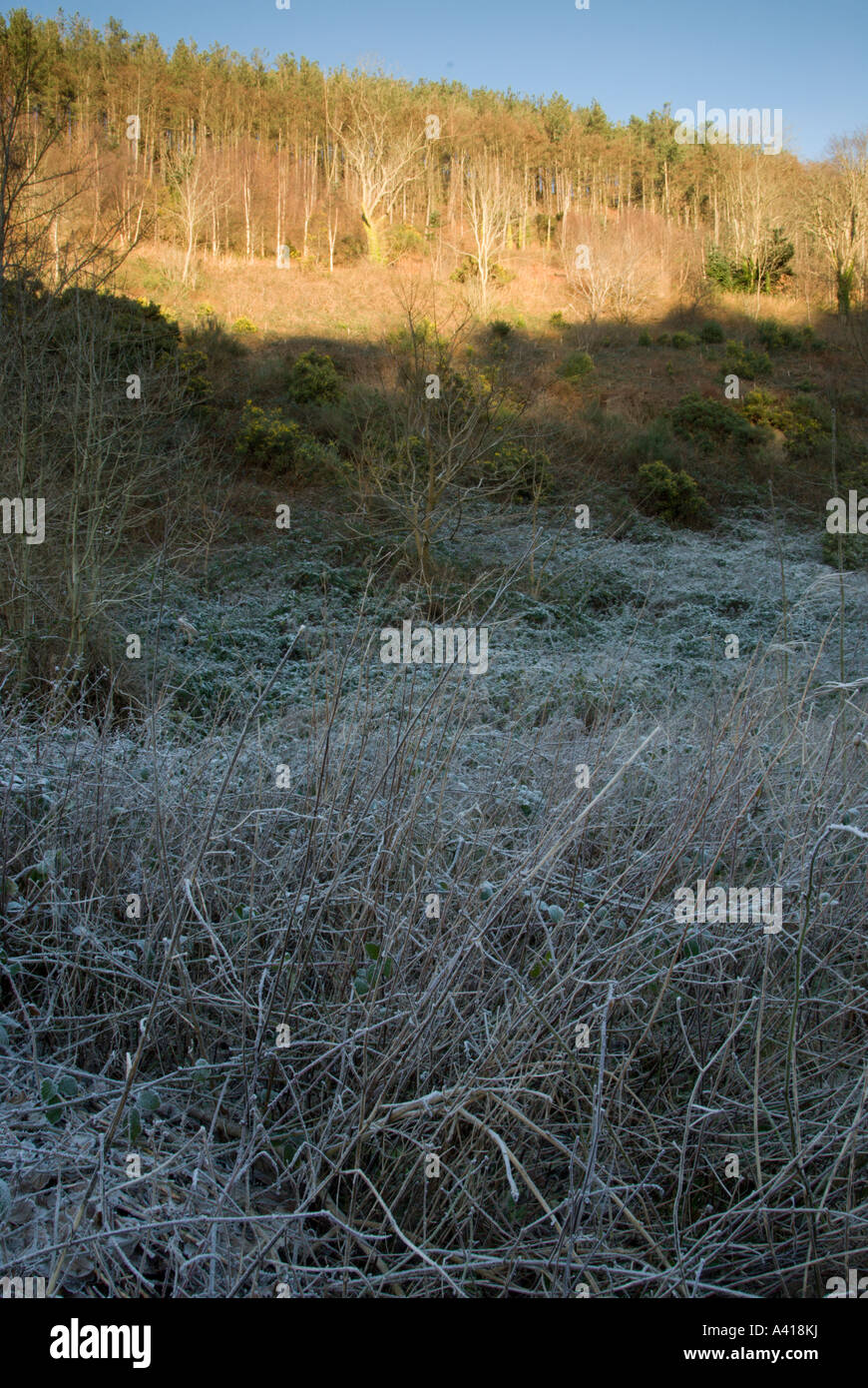 Frostline in a steep valley, Wales, UK. Stock Photo