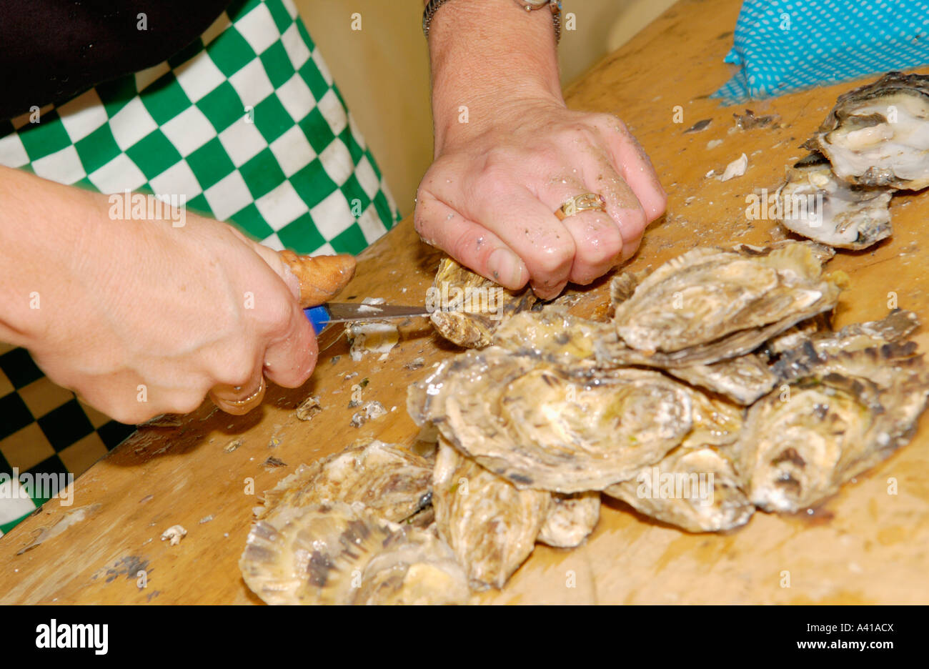 Competitors in the Welsh Oyster Opening Championships Abergavenny Monmouthshire South East Wales UK Stock Photo
