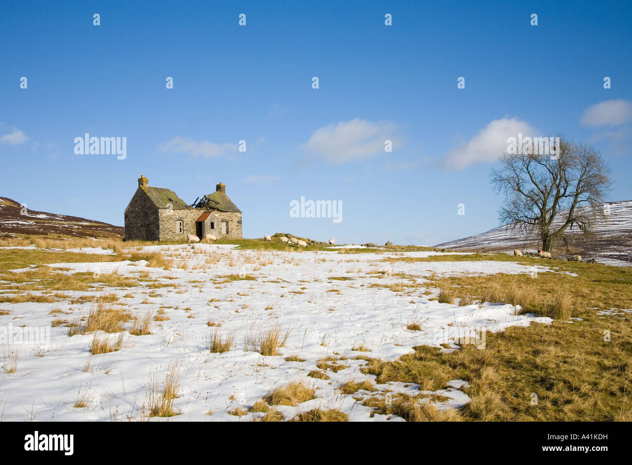 Deserted and abandoned derelict ruined farmhouse, one storey homes on