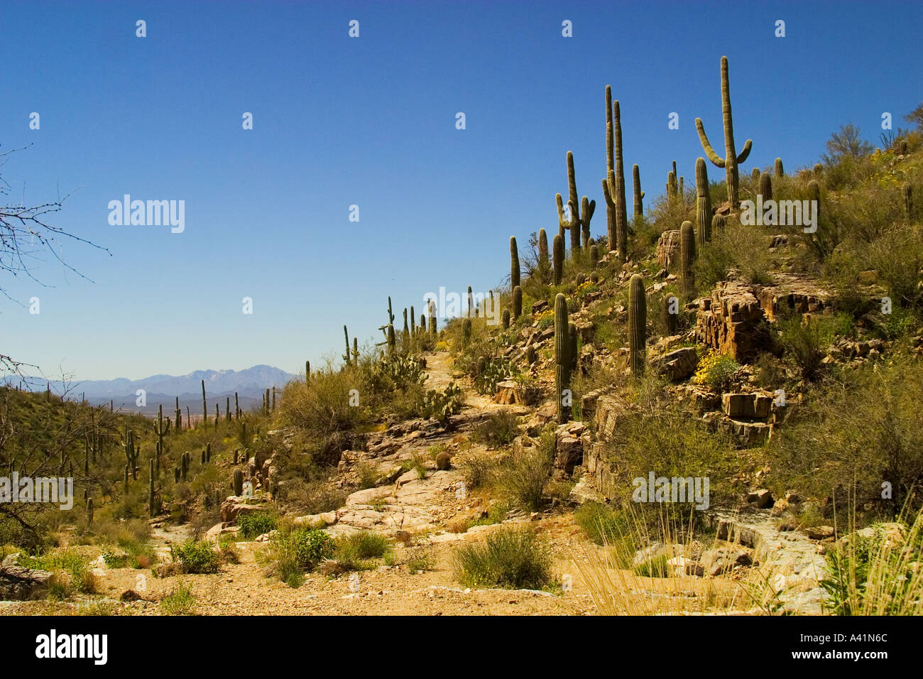 A Rough Rugged Terrain Awaits Hikers in the Sonoran Desert near Tucson ...