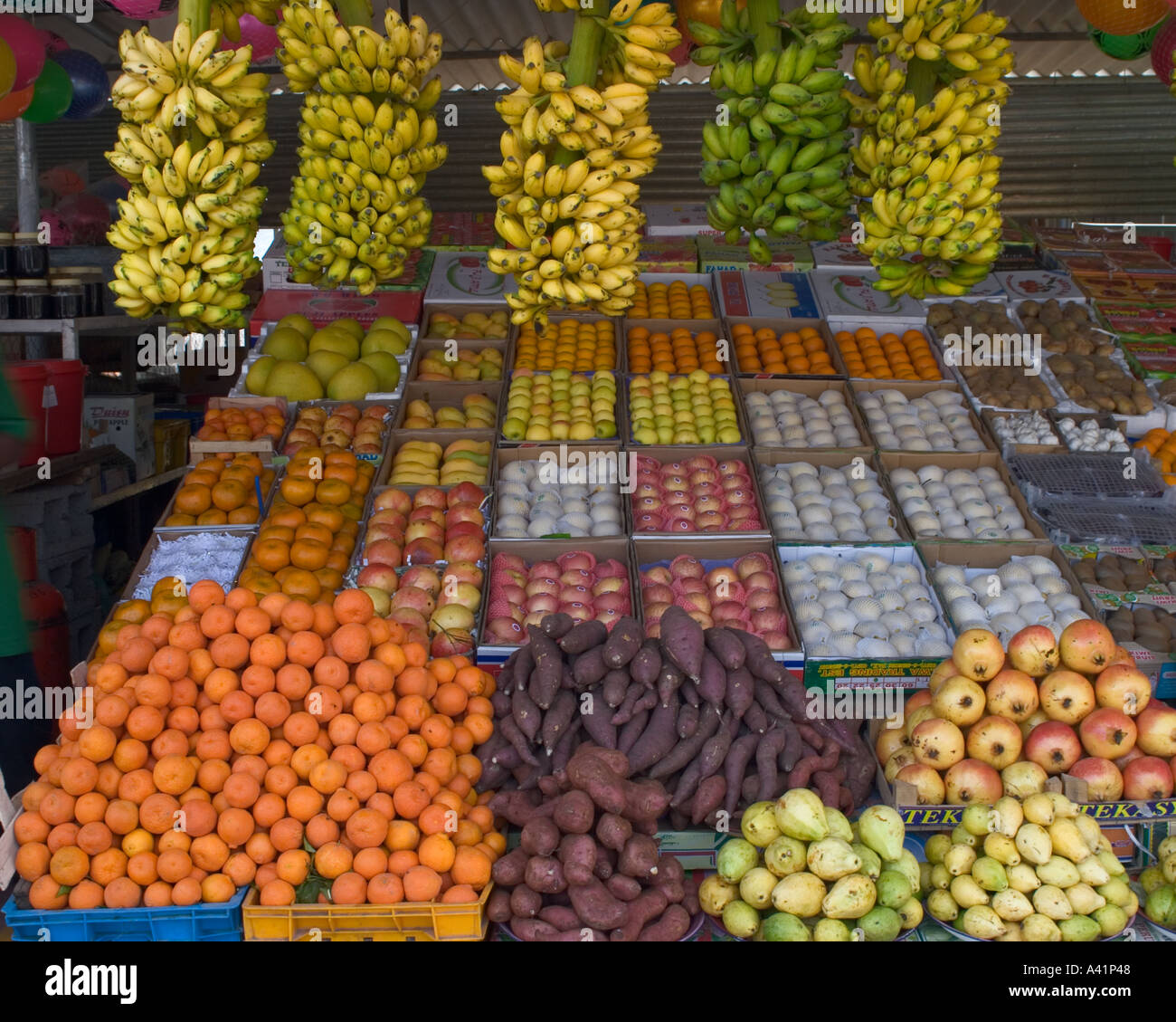 Fruit and vegetable market on the way to Fujairah United arab emirates