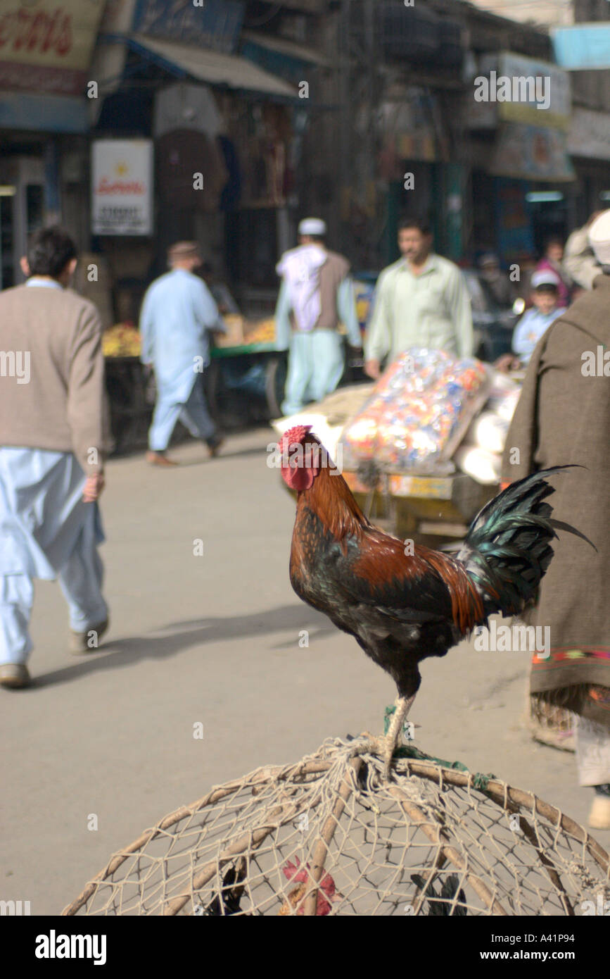 Peshawar Market High Resolution Stock Photography and Images Alamy