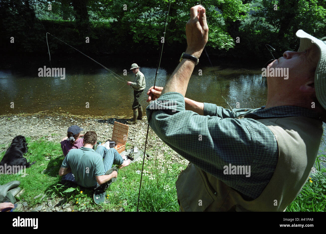 England Devon Fly fishing on the River Lyd Lifton Stock Photo Alamy