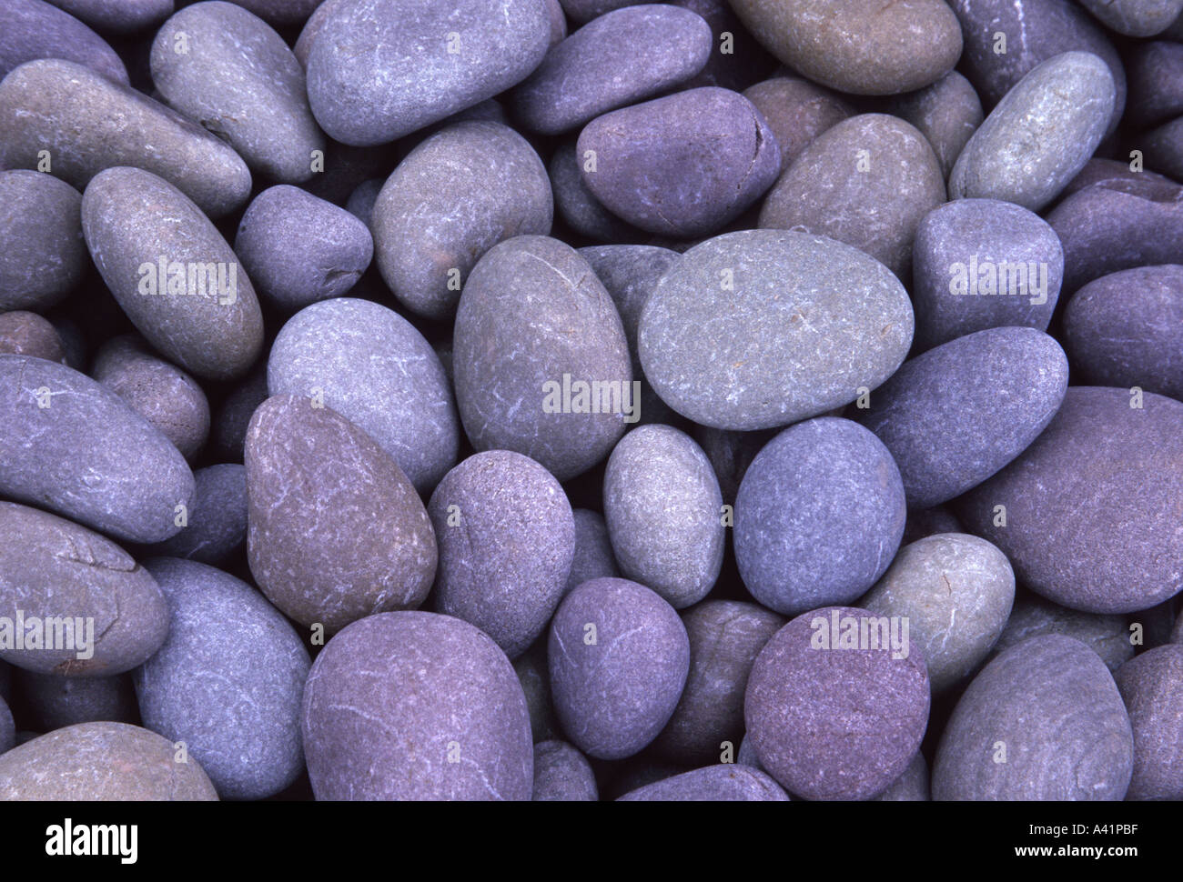 Granite pebbles in close up Hurlstone Point Somerset England Stock Photo