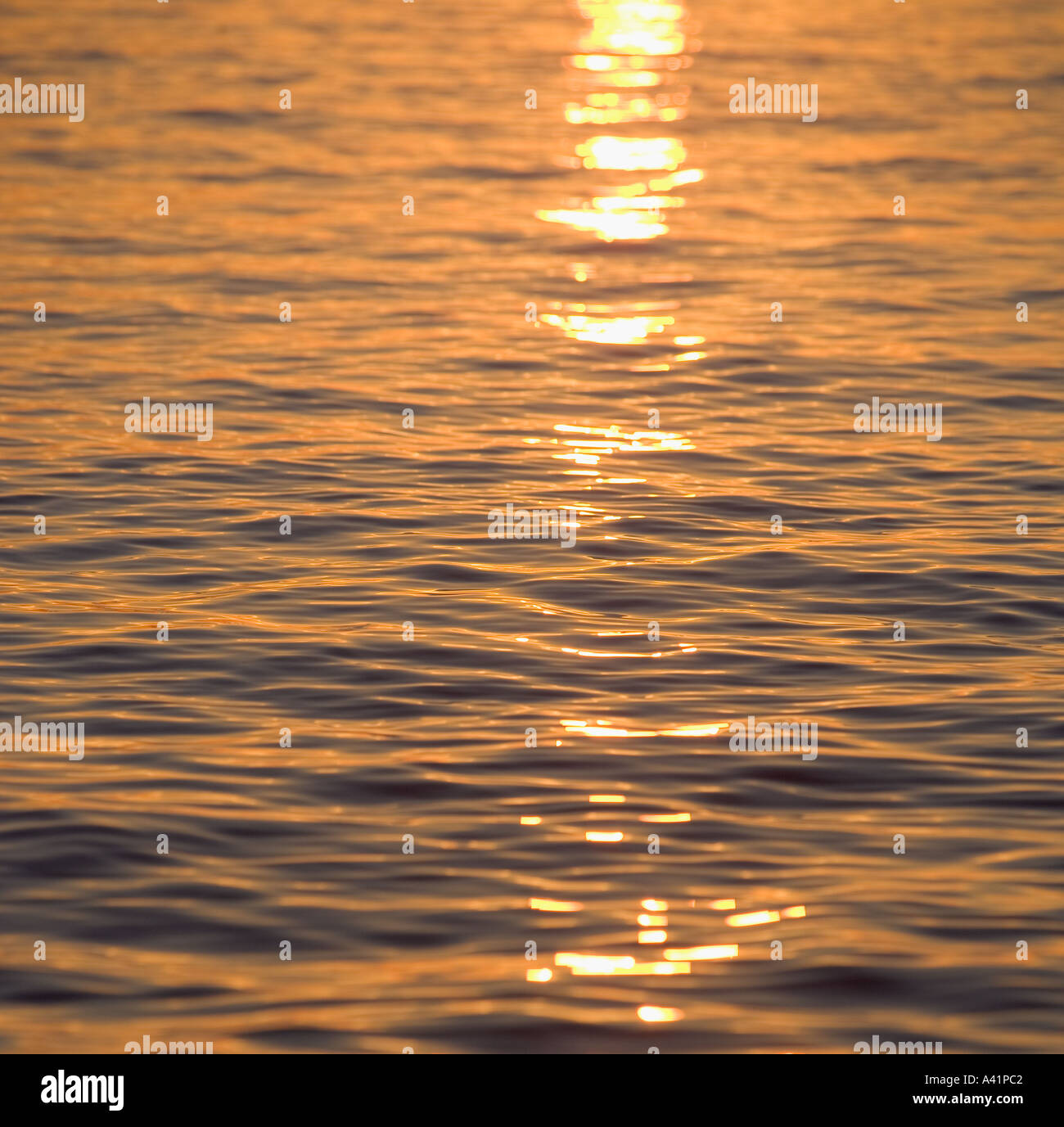 Sunlight reflected on sea hi-res stock photography and images - Alamy