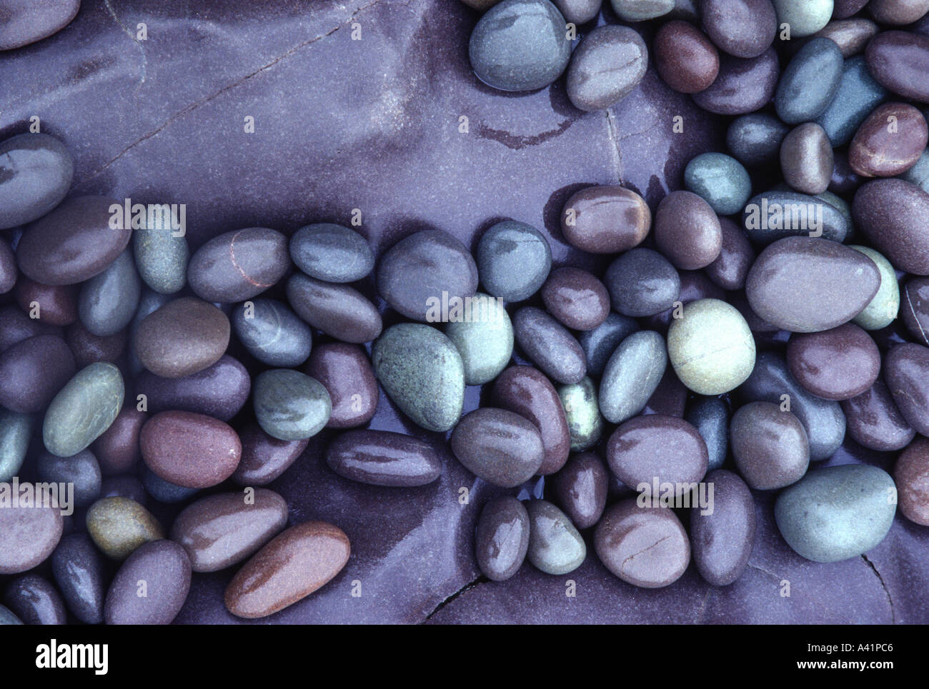 Coloured granite pebbles on beach Hurlstone Point Somerset England Stock Photo