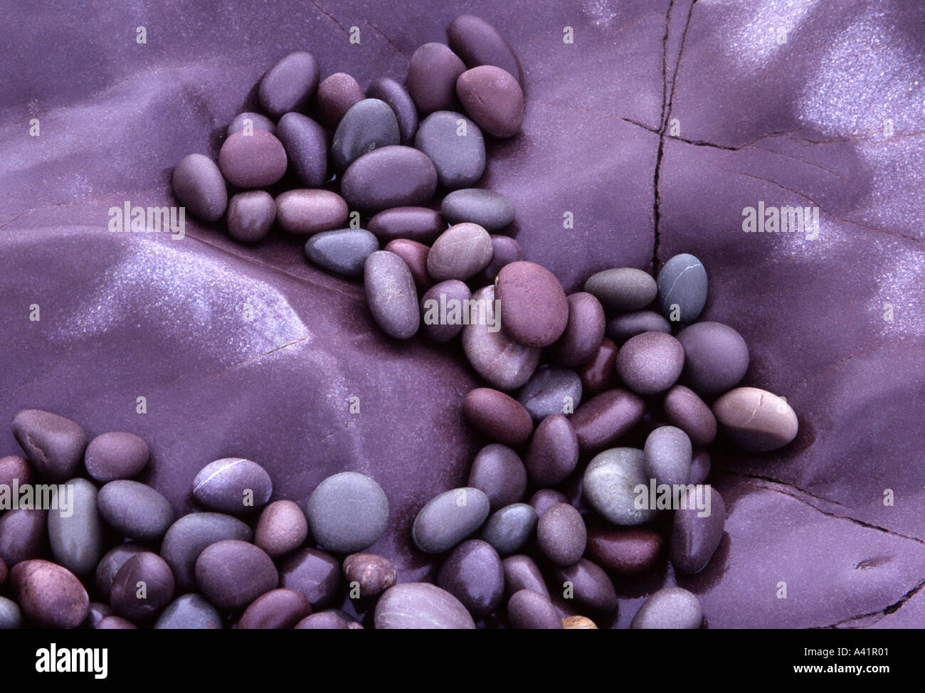 Smooth coloured granite pebbles and rocks on beach Hurlstone Point Somerset England UK Stock Photo