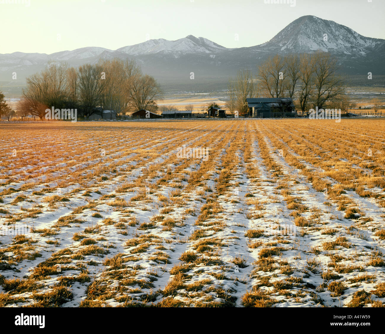 Farm near Cortez Colorado USA Stock Photo Alamy