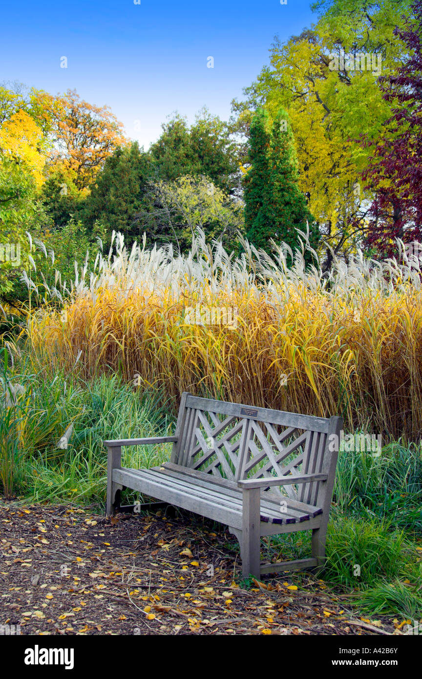 Colorful grasses and a lone park bench in the English Gardens of the Assiniboine Park in Winnipeg, Mantioba , Canada. Stock Photo
