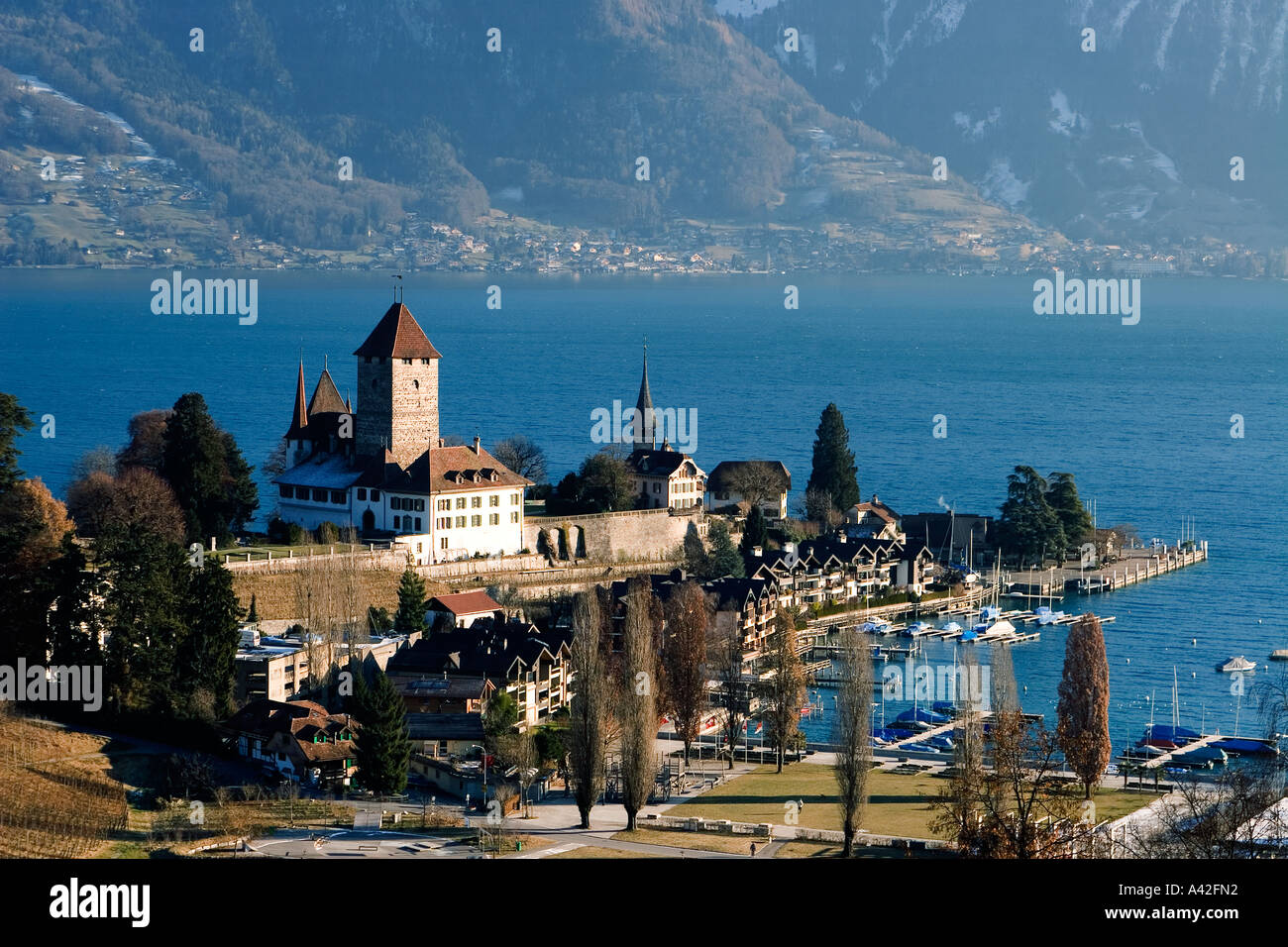 Switzerland bernese oberland Spiez castle lake Thun in winter Stock Photo