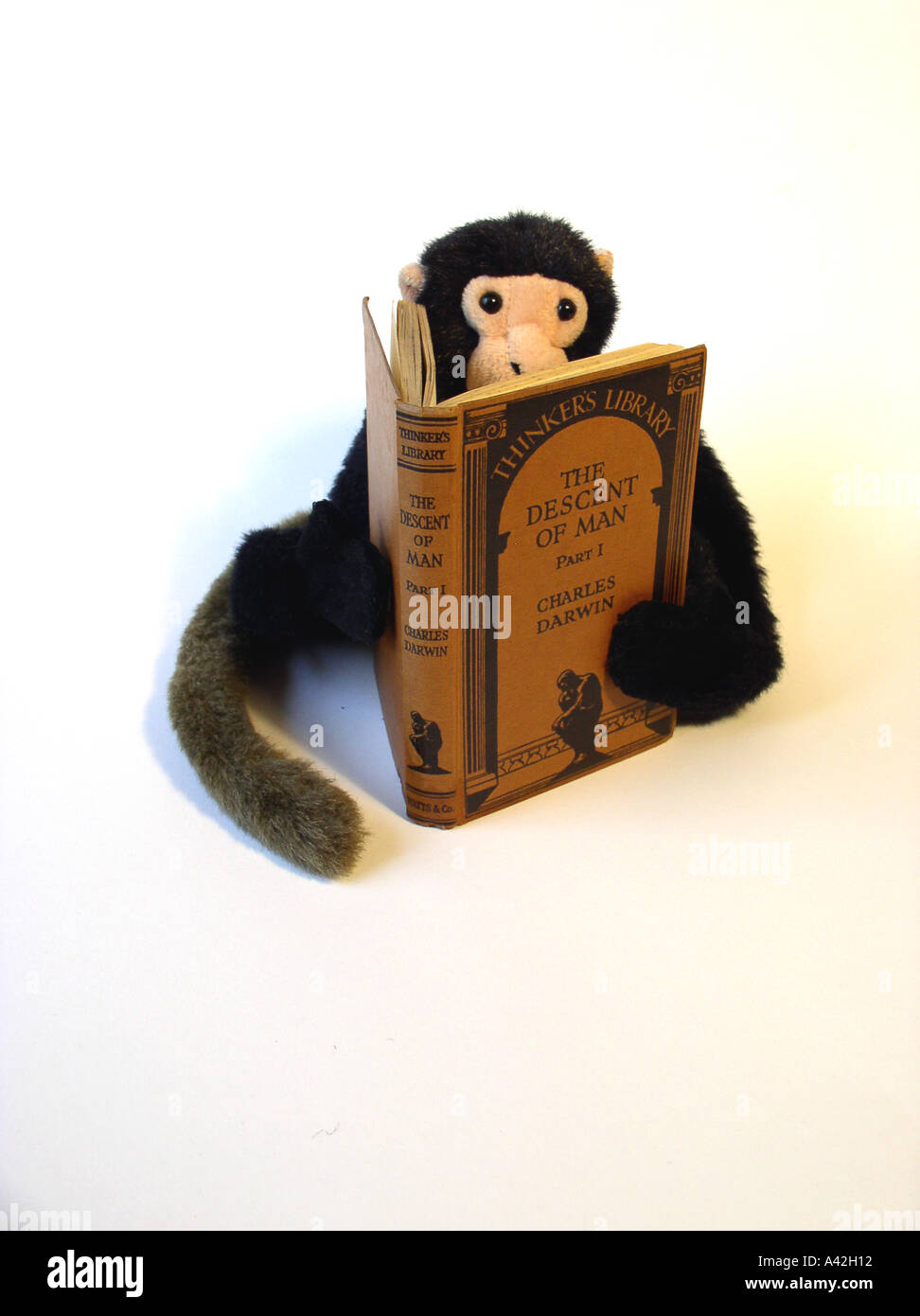 toy monkey reading The Descent of Man by Charles Darwin Thinkers Library edition Stock Photo