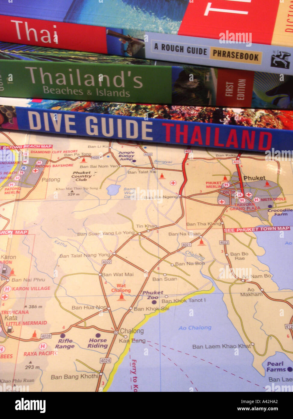 Florida guide guidebooks Carl Hiaasen novel Tourist Season map of