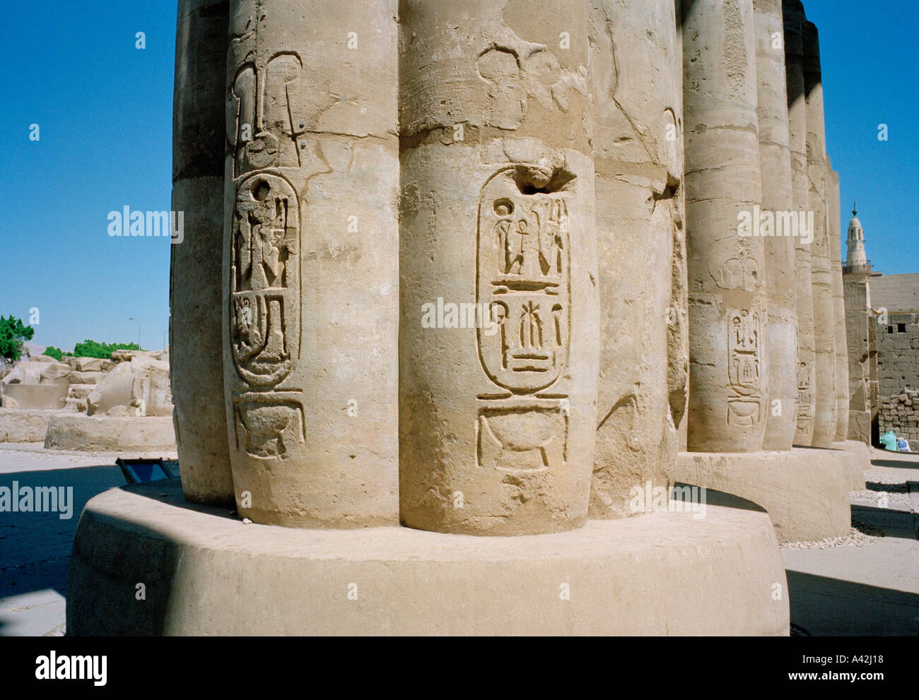 Relief sculpture cartouches decorate the bases of columns in the great