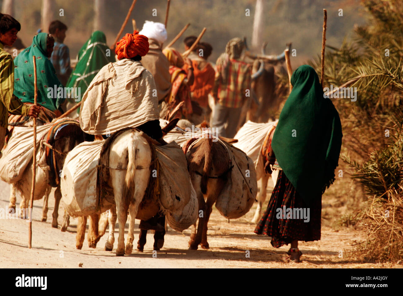 Nomads travelling from one destination to another, Panipat Haryana