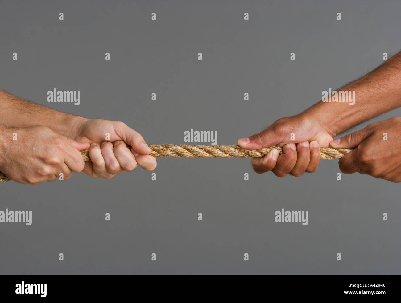 Close up of tug o war with four hands Stock Photo Alamy